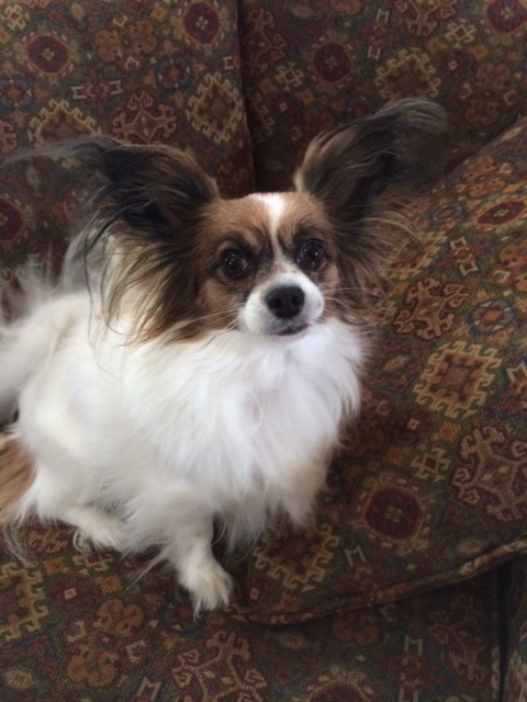 Buffy 