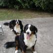 Codi & Murphy 