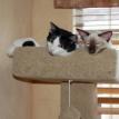 Santino & Sophie